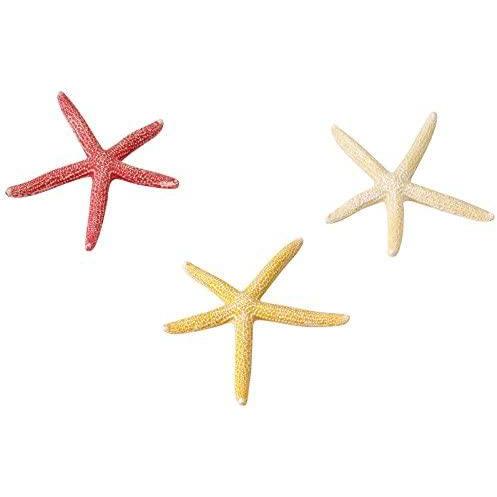 Aqua Della della Stella Marina, Valigetta per visualizzazione Decorazione Ornamento Set, 10 cm, Colori Assortiti Aqua Della della Stella Marina, Valigetta per visualizzazione Decorazione Ornamento Set, 10 cm, Colori Assortiti